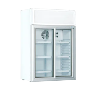 UĞUR USS 100 DSCL Şişe Soğutucular - Görsel 1